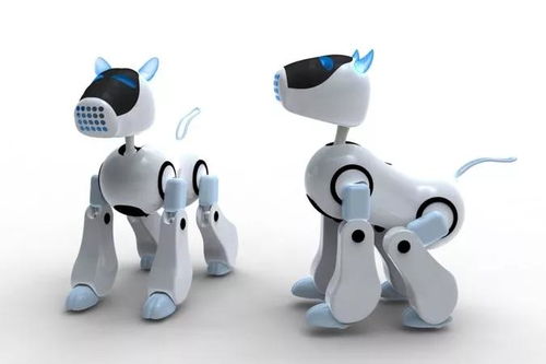 从艺术考场到职场赛道 探索艺考后的多元职业路径——以教学用模型及教具销售为例