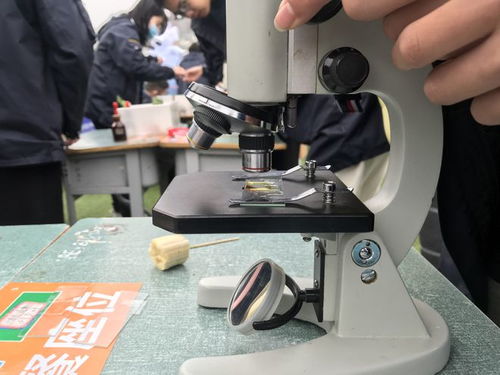 校园科技节脑力值拉满，学生玩嗨了！教学模型与教具销售迎来热潮